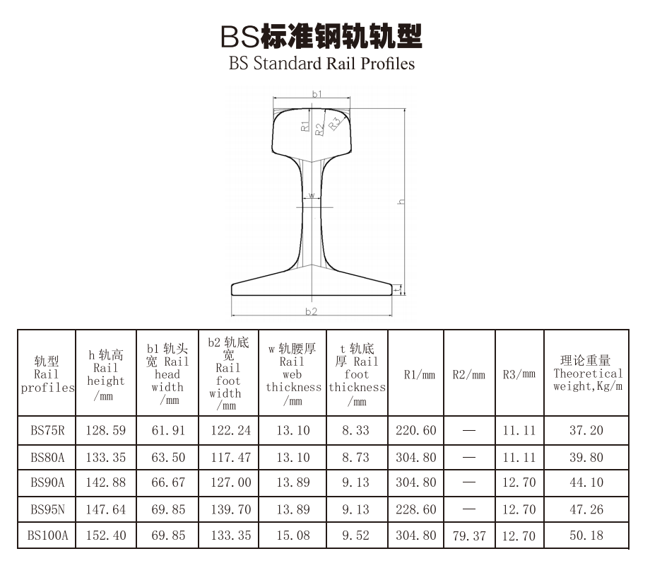 BS Standard Rail Profile